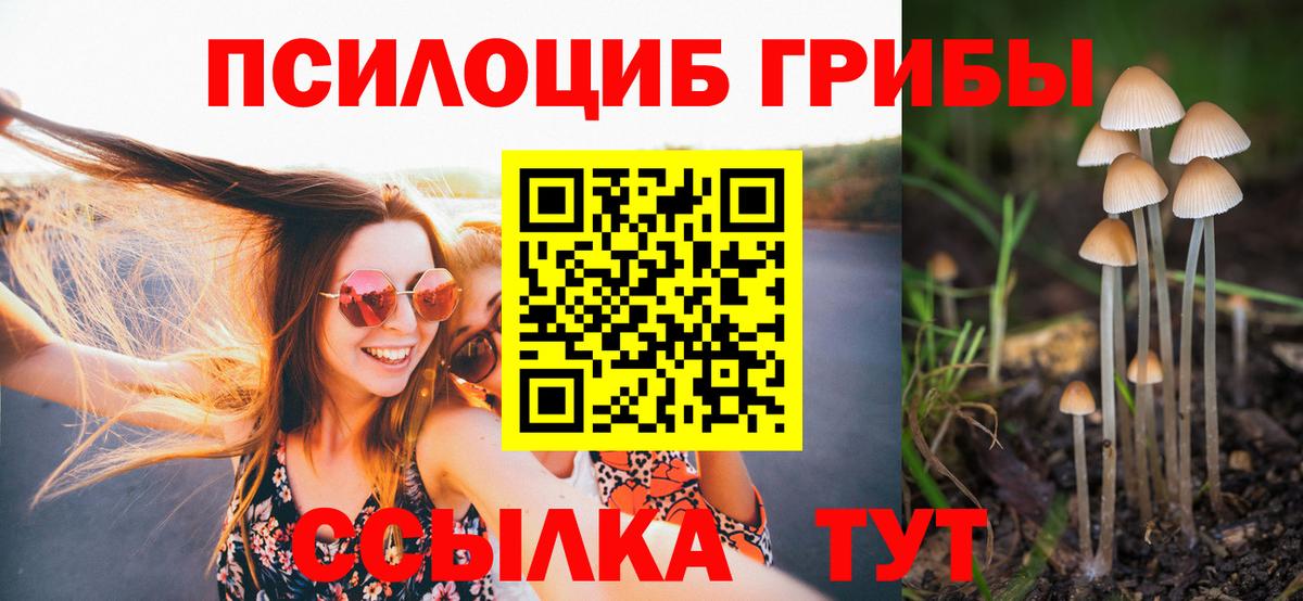 Псилоцибиновые грибы мицелий Ликино-Дулёво