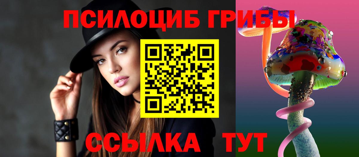 Ликино-Дулёво  Псилоцибиновые грибы MAGIC MUSHROOMS  Вход с VPN  Псилоцибиновые грибы Cubensis 